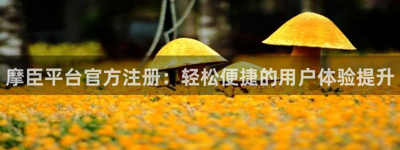 PG电子体育平台总代理：摩臣平台官方注册：轻松便捷的用户体验提升