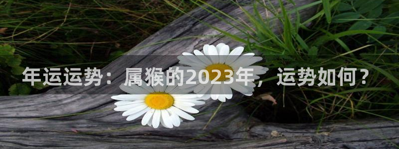 PG电子体育代理：年运运势：属猴的2023年，运势如何？