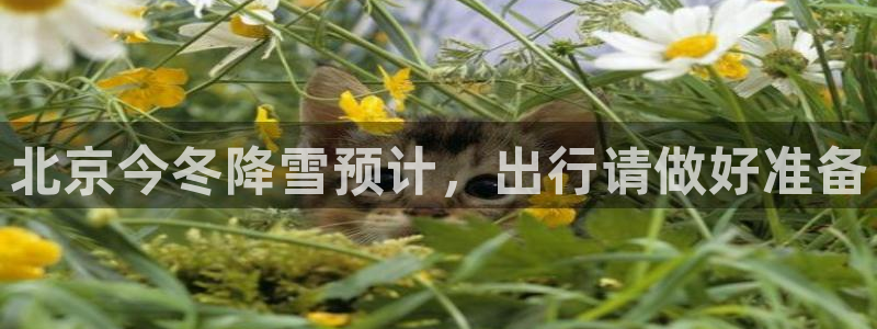 PG电子体育4：北京今冬降雪预计，出行请做好准备