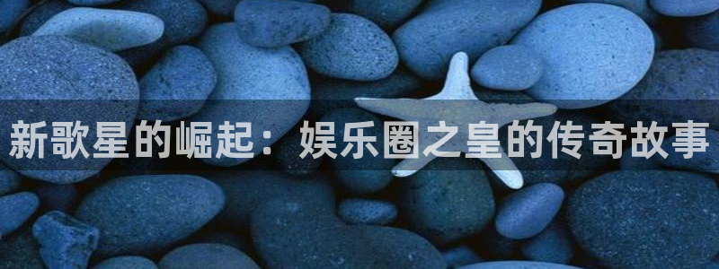 PG电子登录注册：新歌星的崛起：娱乐圈之皇的传奇故事