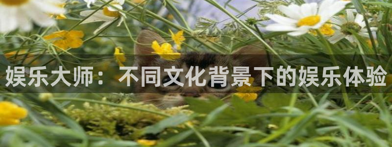 PG电子2官网：娱乐大师：不同文化背景下的娱乐体验