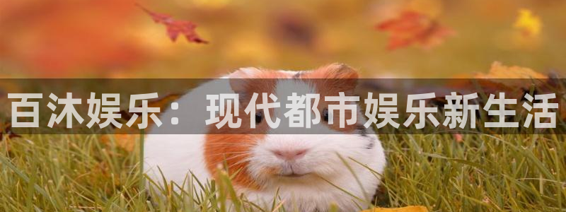 PG电子5注册：百沐娱乐：现代都市娱乐新生活