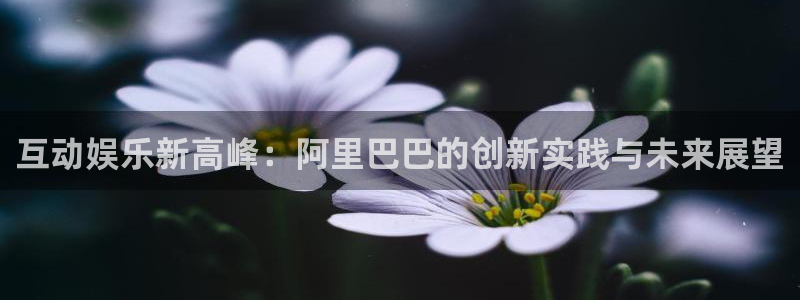 PG电子环保：互动娱乐新高峰：阿里巴巴的创新实践与未来展望