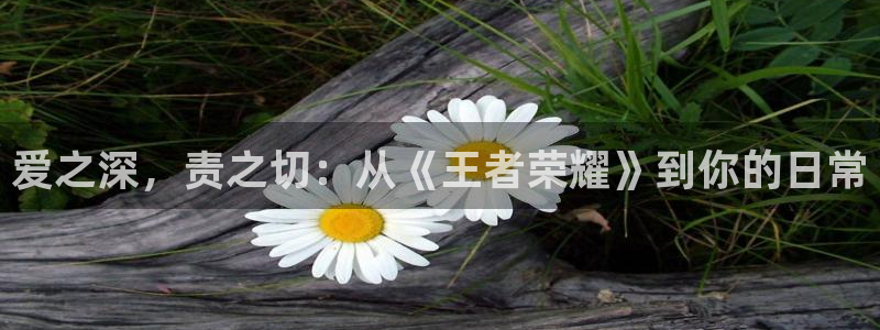 PG电子平台开户链接：爱之深，责之切：从《王者荣耀》到你的日常