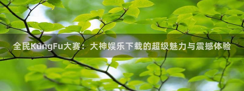 PG电子平台开户：全民KungFu大赛：大神娱乐下载的超级魅力与震撼体验