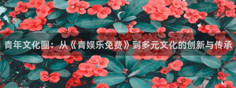 PG电子零能源集团：青年文化圈：从《青娱乐免费》到多元文化的创新与传承