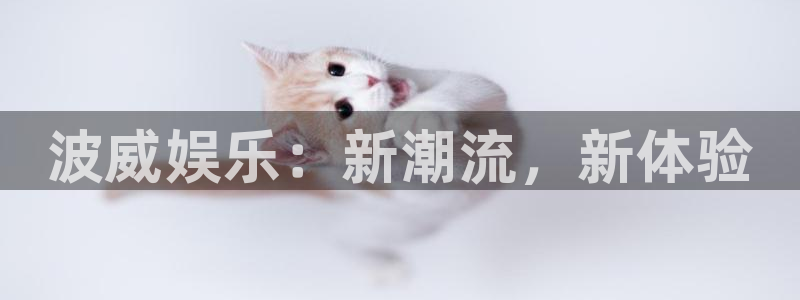 PG电子主管：波威娱乐：新潮流，新体验