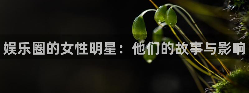 PG电子2平台注册：娱乐圈的女性明星：他们的故事与影响