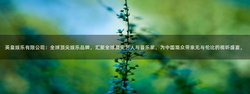 PG电子体育娱乐注册链接：英皇娱乐有限公司：全球顶尖娱乐品牌，汇聚全球顶尖艺人与