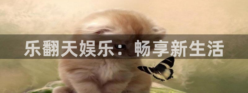 PG电子：乐翻天娱乐：畅享新生活