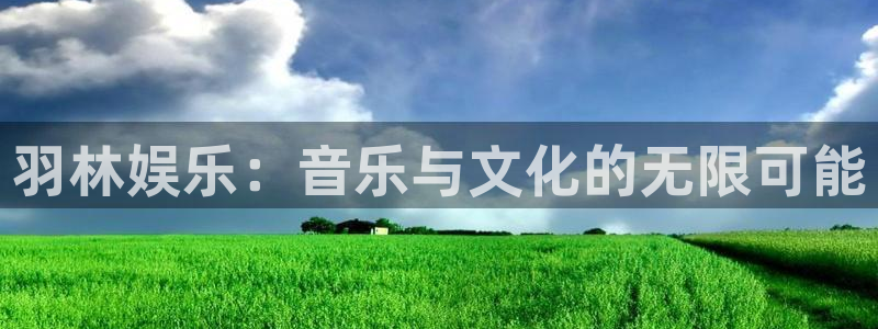 PG电子体育2：羽林娱乐：音乐与文化的无限可能