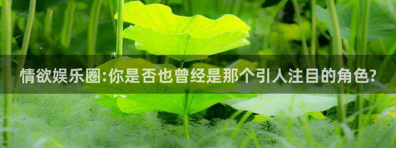 PG电子体育f开户：情欲娱乐圈:你是否也曾经是那个引人注目的角色?