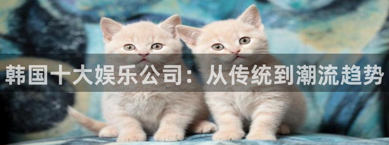PG电子3注册：韩国十大娱乐公司：从传统到潮流趋势