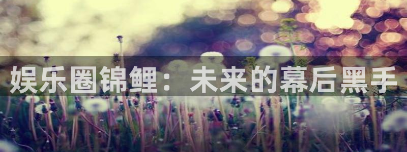 PG电子现在优惠多少：娱乐圈锦鲤：未来的幕后黑手