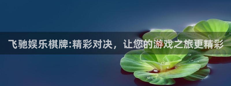 PG电子体育网页版入口：飞驰娱乐棋牌:精彩对决，让您的游戏之旅更精彩
