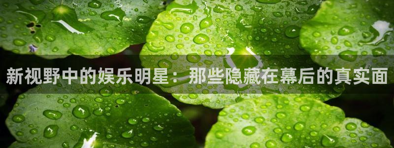 PG电子平台在线开户：新视野中的娱乐明星：那些隐藏在幕后的真实面