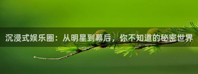 PG电子2登录：沉浸式娱乐圈：从明星到幕后，你不知道的秘密世界