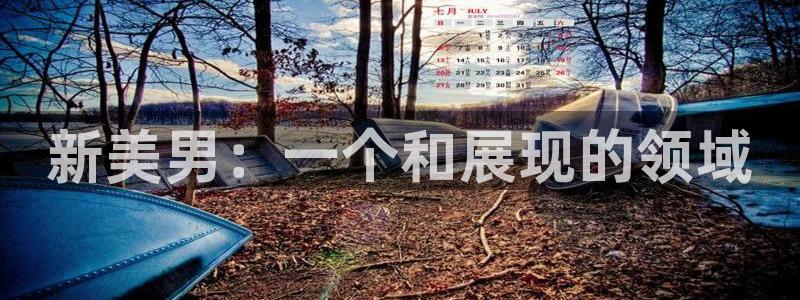 PG电子：新美男：一个和展现的领域