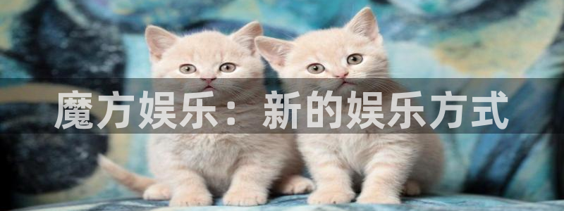 PG电子主管：魔方娱乐：新的娱乐方式