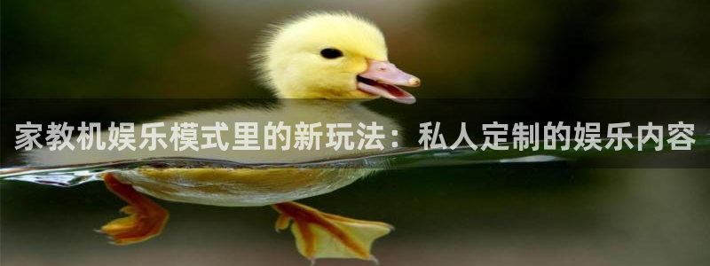 PG电子3注册：家教机娱乐模式里的新玩法：私人定制的娱乐内容