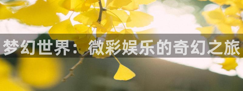 PG电子5招商：梦幻世界：微彩娱乐的奇幻之旅