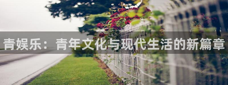 PG电子平台招商：青娱乐：青年文化与现代生活的新篇章