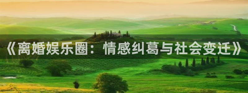 PG电子官网：《离婚娱乐圈：情感纠葛与社会变迁》