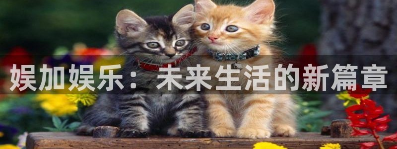 PG电子平台注册入口：娱加娱乐：未来生活的新篇章